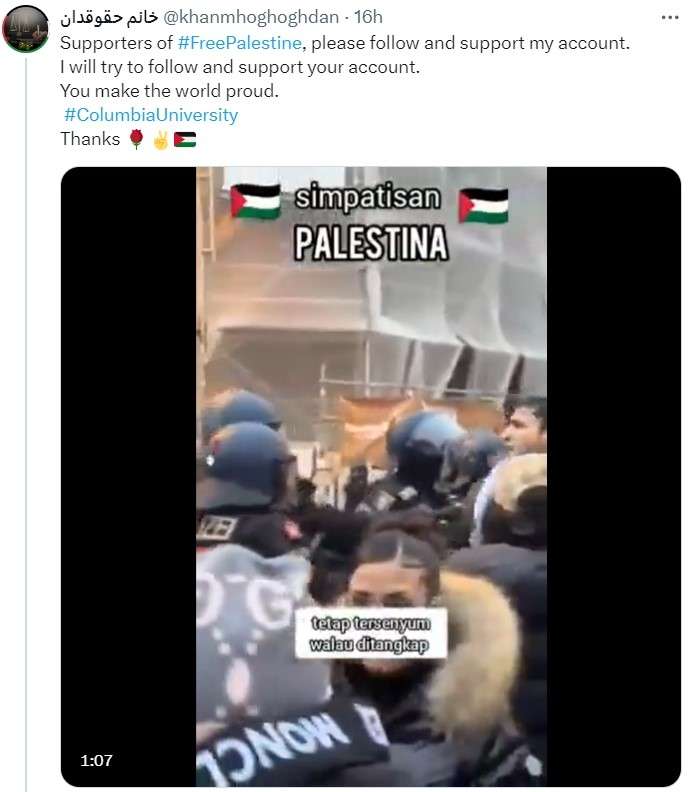 Umanitarismo palestinese