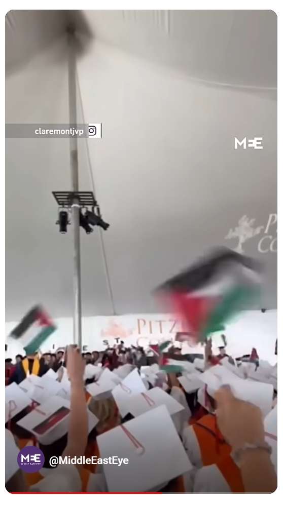 Umanitarismo palestinese