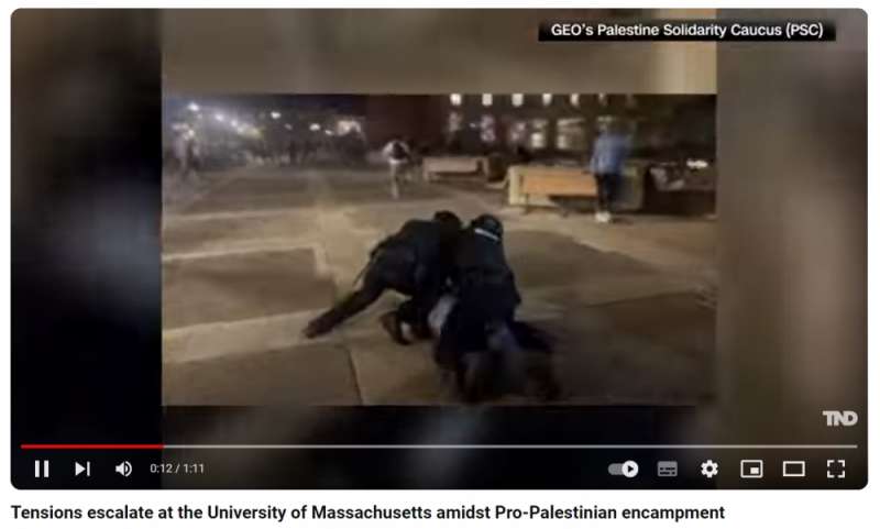 Umanitarismo palestinese