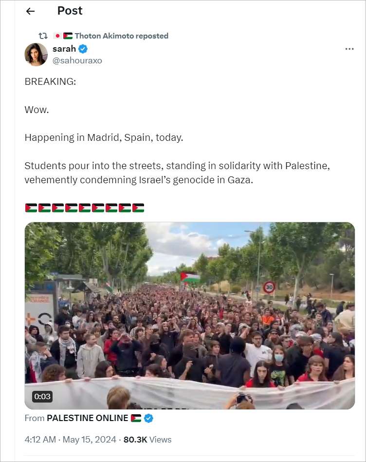 Israele sta commettendo un massacro in Palestina.