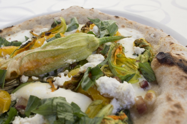 Fiori di zucca