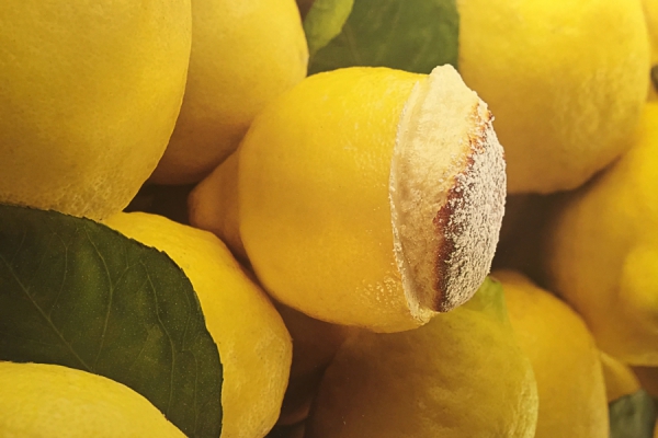 Soufflè al liquore di limoni