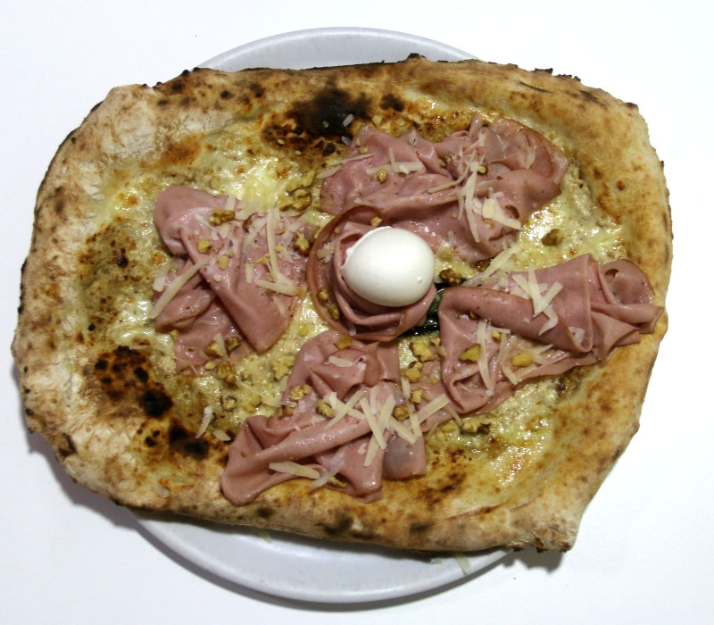 Nocidella