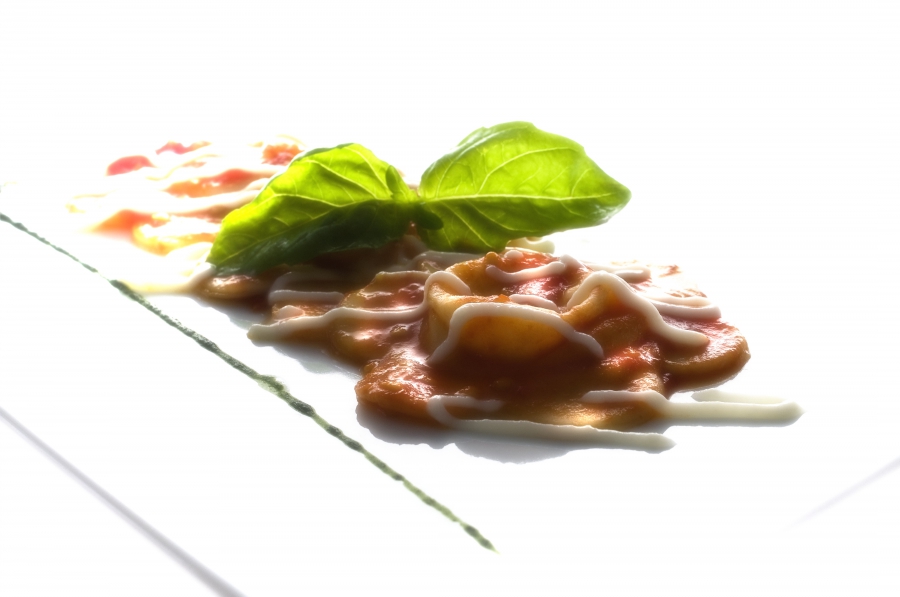 Ravioli di caciotta con pomodorini e basilico