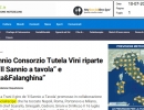 Il Sannio Consorzio Tutela Vini riparte con “Il Sannio a tavola” e “Pizza&Falanghina”
