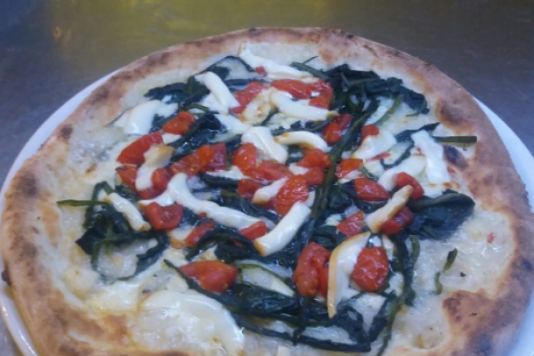 Pizza Seashell